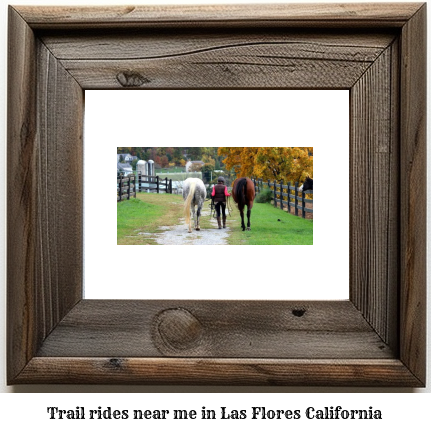 trail rides near me in Las Flores, California